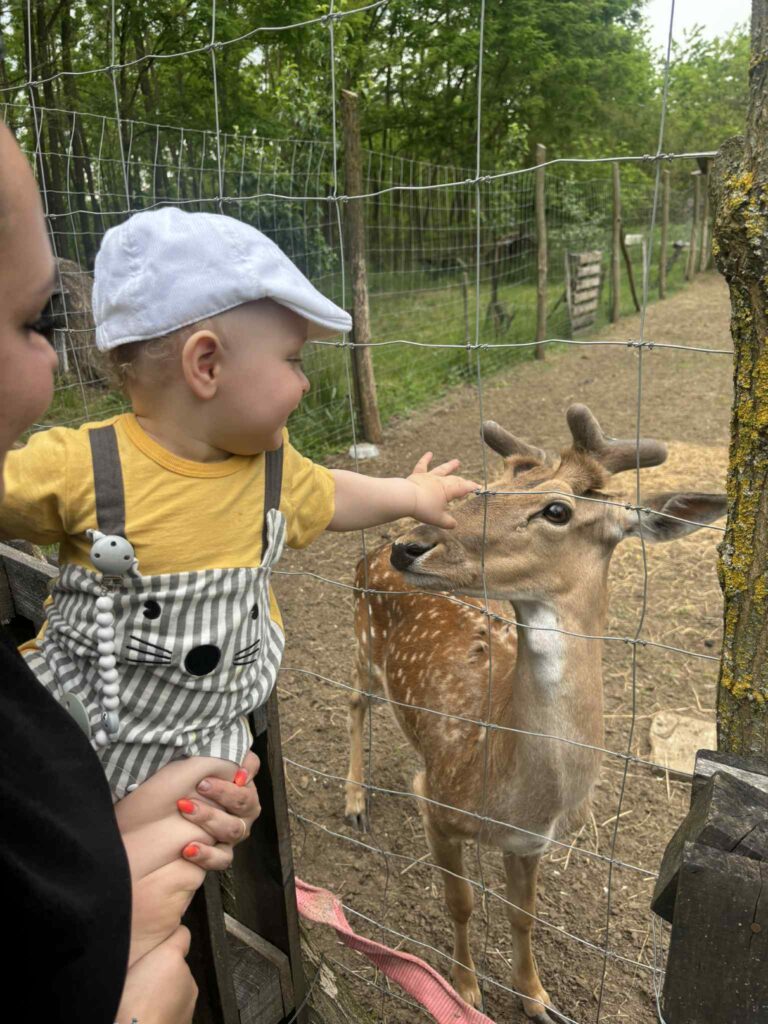 Nyírségi Nyulas vadásztanya